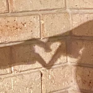 Meet your Posher, Skye